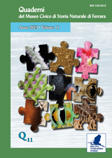 Copertina Quaderno 11 Copertina Quaderno 11