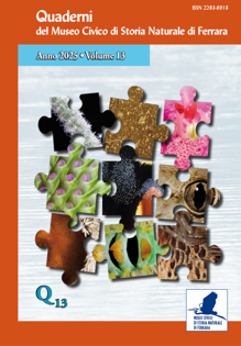 Copertina Quaderno 13