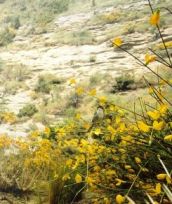 Diorama relitto caldo