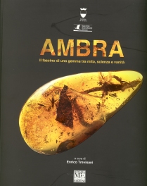 Copertina catalogo Ambra