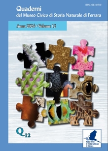 Copertina Quaderno 12