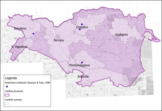 Anasimyia contracta Claussen & Torp, 1980