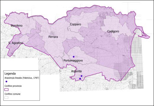 Anasimyia lineata (Fabricius, 1787)