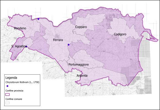 Chrysotoxum festivum (L., 1758)