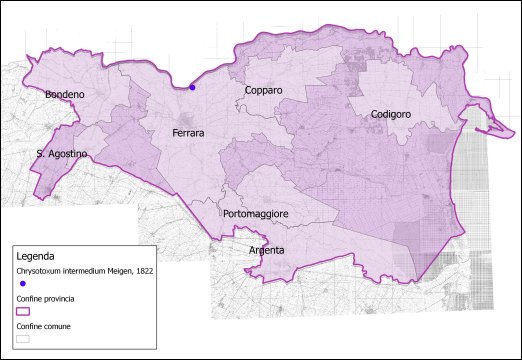 Chrysotoxum intermedium Meigen, 1822