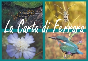 Logo Carta di Ferrara