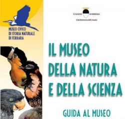 Copertina guida museo