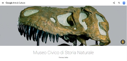 La pagina di Google Arts & Culture del nostro Museo