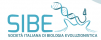 sibe logo