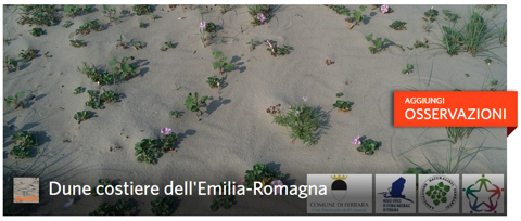 Copertina Dune Costiere dell'Emilia-Romagna