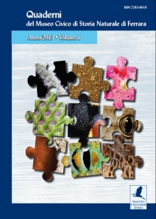 Copertina Quaderno nuovo 1