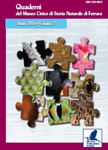 Copertina volume n. 2, 2014