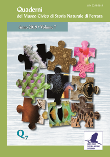 Copertina volume 7 "Quaderni del Museo"