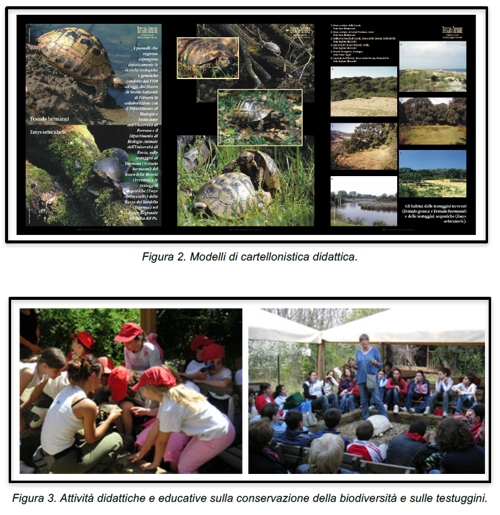 Foto da Progetto Save the Tortoise