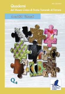 Copertina volume 8 Quaderni del Museo