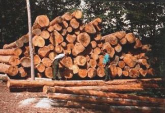 Manifestazione contro tagli eccessivi