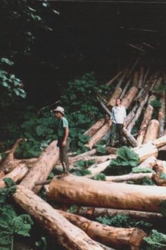 Manifestazione contro tagli eccessivi