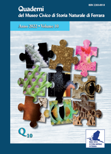 Copertina volume 10 Copertina volume 10